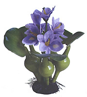 ������� 19��. ����� - ������������ ��������