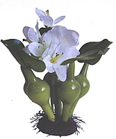 ������� 19��. ������� - ������������ ��������