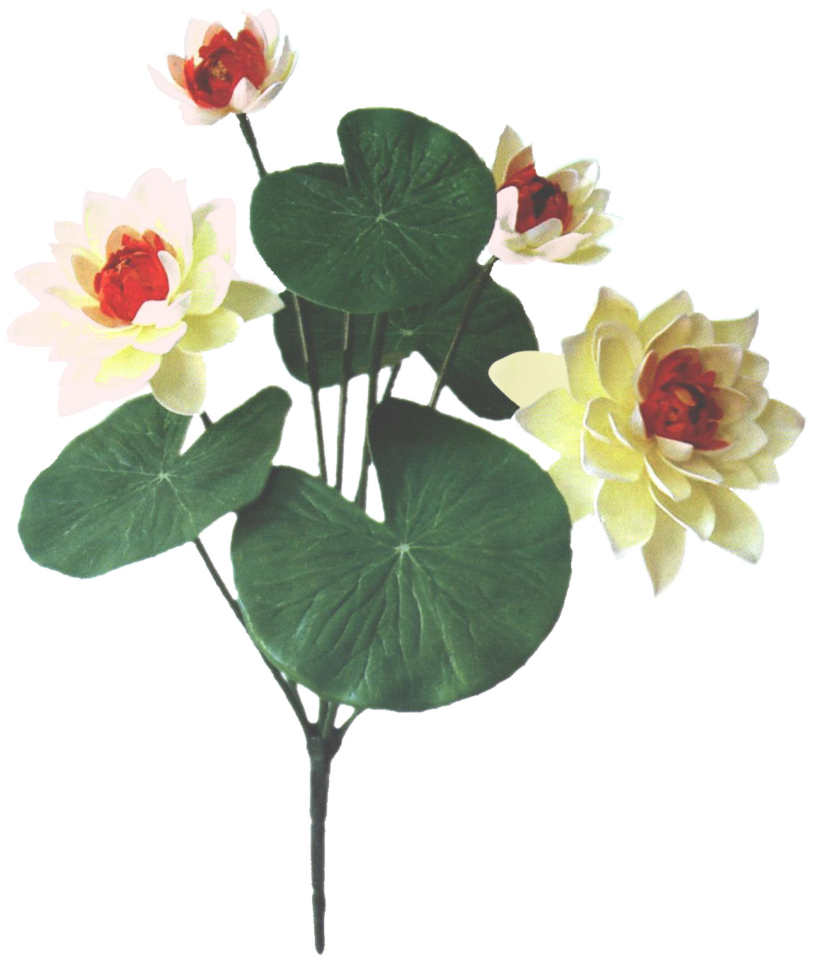 ����� ������ ����� 52��. - ������������ ��������