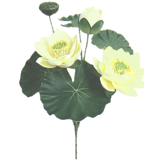 ����� ������ �����. �����-������� - ������������ ��������