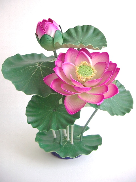 ����� ������ ����� �� ������������ ���������. ������� - ������������ ��������