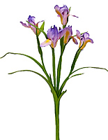 �����. ������� - ������������ ��������