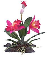 ������������ �������� �� ������ 27 ��. - ������������ ��������