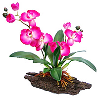 ������������ �������� �� ������ 41 ��. - ������������ ��������