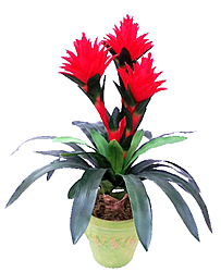 ������ - ������������ ��������