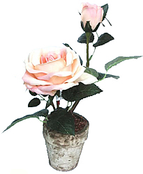 ���� � ����� 27 ��. - ������������ ��������