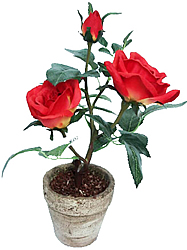 ���� � ����� 30 ��. - ������������ ��������