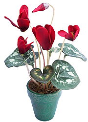 ������������ �������� � ����� 26 ��. - ������������ ��������