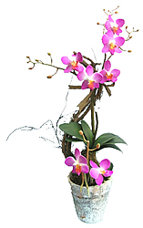 ������������ �������� � ����� 58 ��. - ������������ ��������