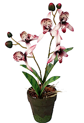 ������������ �������� � ����� 34 ��. - ������������ ��������