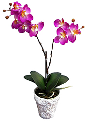 ������������ �������� � ����� 37 ��. - ������������ ��������