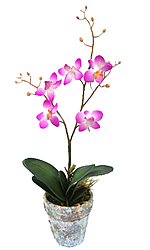 ������������ �������� � ����� 43 ��. - ������������ ��������