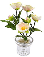 ����� ���� � ���� 27 ��. ������ - ������������ ��������