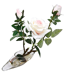 ����� ���� � ���� 33 ��. ����� - ������������ ��������