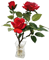 ����� ���� � ���� 37 ��. ������� - ������������ ��������