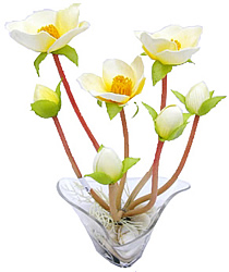 ����� ������ �������� � ����. 21��. ������ - ������������ ��������