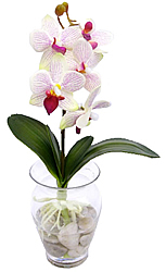 ������������ �������� � ����. ����� - ������������ ��������