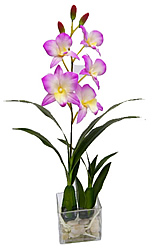 ������������ �������� � ����. ��������� - ������������ ��������