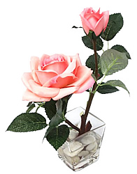 ����� ���� � ���� .������� - ������������ ��������