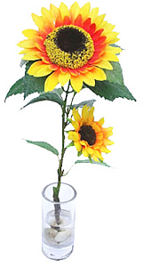 ��������� � ���� - ������������ ��������