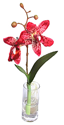 ������������ �������� � ���� 23 ��. ������� - ������������ ��������