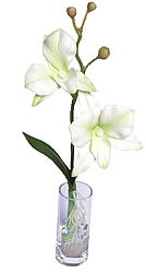 ������������ �������� � ���� 25 ��. ����� - ������������ ��������