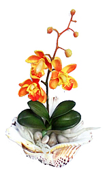 ������������ �������� � ������� 22 ��. ������ - ������������ ��������