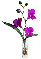 ������������ �������� � ���� 32 ��. ��������� - ������������ ��������