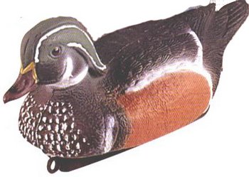 �������� ������������ 30,5�� - ������������ ������ ����