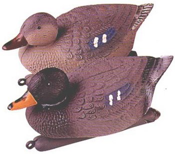 ���� ������������ 21,5 - ������������ ������ ����