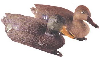 �������� ������������ 39�� - ������������ ������ ����