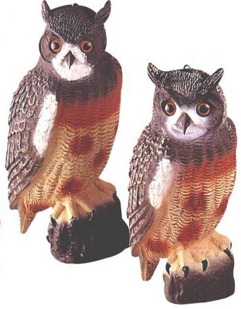 ���� ������������ 40,5�� - ������������ ������ ����