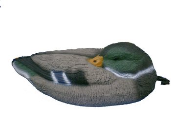 �������� ������ ������������ 42�� - ������������ ������ ����