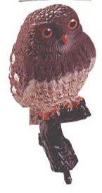 ������� ������������ 25�� - ������������ ������ ����