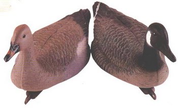 ��������� ���� ������������ 66�� - ������������ ������ ����