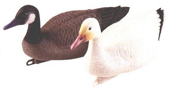 ��������� ���� ������������ 66�� - ������������ ������ ����