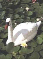 ������ ����� ������������ 86,5�� - ������������ ������ ����