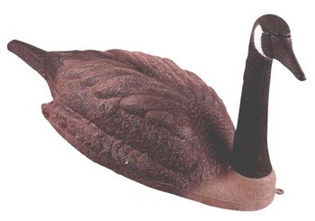 ������ ������ ������������ 86,5�� - ������������ ������ ����