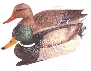 ���� ������������ 39�� - ������������ ������ ����