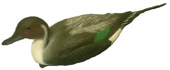 �������� ������������ 47�� - ������������ ������ ����