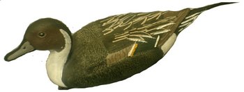 �������� ������������ 33�� - ������������ ������ ����