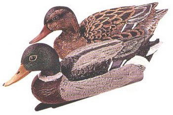 ���� ������������ 40�� - ������������ ������ ����