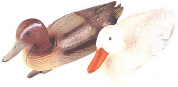 ���� ������������ ����� 39�� - ������������ ������ ����