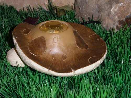 ����, ��������������� - ������������ ��������� �������