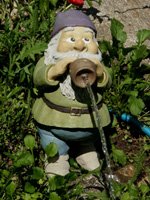 ����-�������, �������� ����� - ������������ ��������� �������