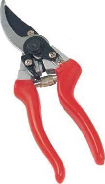 ������� 21,5 �� - ������� ����������