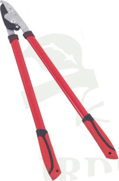 �������� 73,6�� - ������� ����������