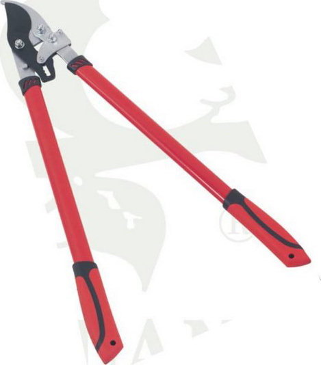 �������� � �������� ���������� 76,8�� - ������� ����������