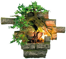 ��������� ���������� - ������������ ���������� �� �������������� �����