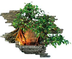 ��������� ���������� - ������������ ���������� �� �������������� �����